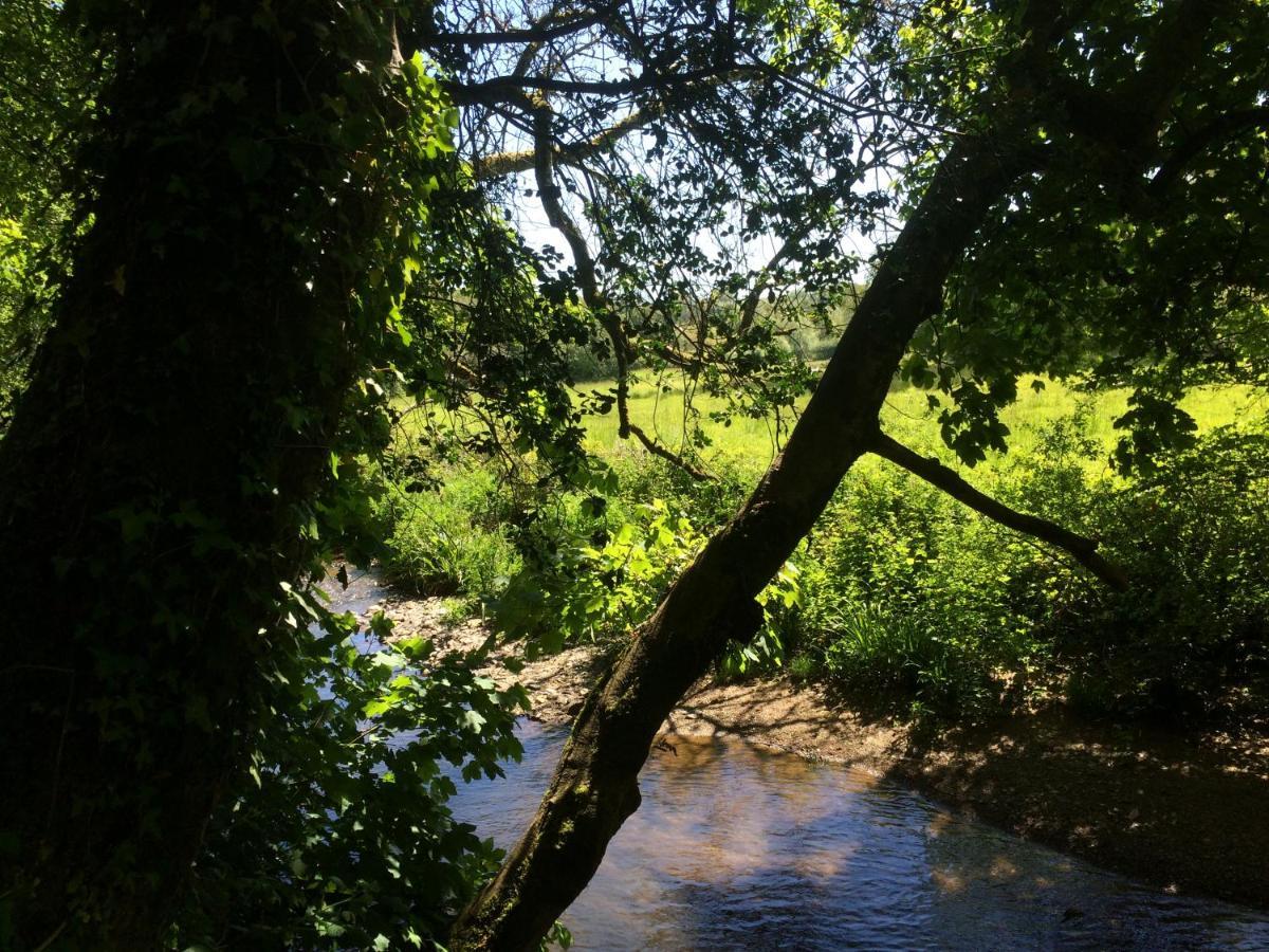 לינה וארוחת בוקר טוטנס Bow Mill Farm מראה חיצוני תמונה
